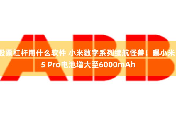 股票杠杆用什么软件 小米数字系列续航怪兽！曝小米15 Pro电池增大至6000mAh