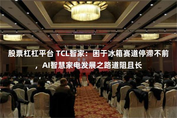 股票杠杠平台 TCL智家：困于冰箱赛道停滞不前，AI智慧家电发展之路道阻且长