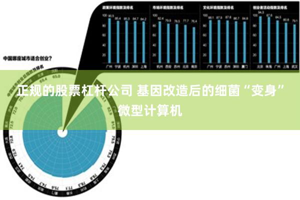 正规的股票杠杆公司 基因改造后的细菌“变身”微型计算机