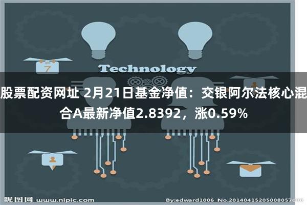 股票配资网址 2月21日基金净值：交银阿尔法核心混合A最新净值2.8392，涨0.59%